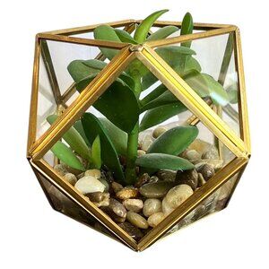 Opalhouse Glass Geometric Brass Terrarium- Artificial Succulent Plant & Pebbles
